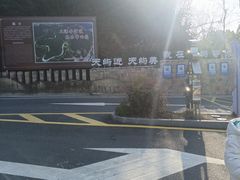 -千岛湖天屿景区