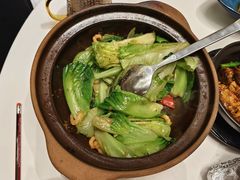 啫啫生菜煲-陶陶居酒家(第十甫路总店)