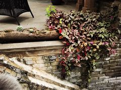 -鱼桥巷·美学川菜