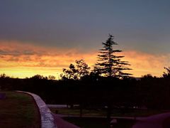 -北京国家会计学院