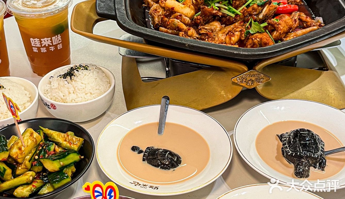 来蛙来哒🉑以又吃蛙又吃龟🐢