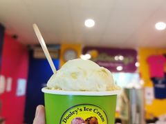 -Dooley's Premium Ice Cream