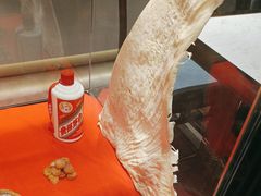-金汤宴餐厅·粤菜(德云社店)