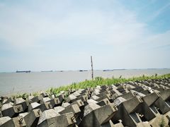-上海滨江森林公园