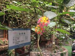-呀路古热带植物园