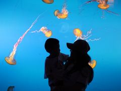 -太平洋海底世界