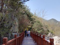 -崂山九水游览区
