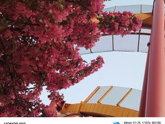 -北京欢乐谷