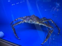 -真情鲍鱼海鲜汤