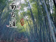 -东钱湖旅游度假区