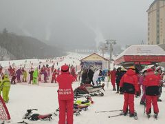 -亚布力新体委滑雪场