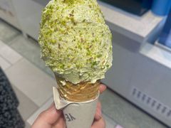 -野人先生现做冰淇淋(西安赛格店)
