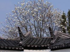 -八大山人梅湖景区