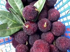 -小稻田辣椒炒肉(大浪商业中心店)