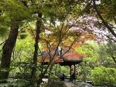 -上海醉白池公园