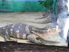 -石家庄市动物园