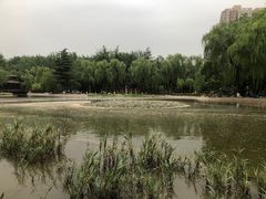 -西安市长乐公园