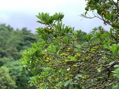 -井冈山风景名胜区