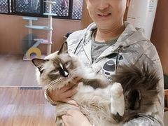 -MOCHA明星猫咖(田子坊店)