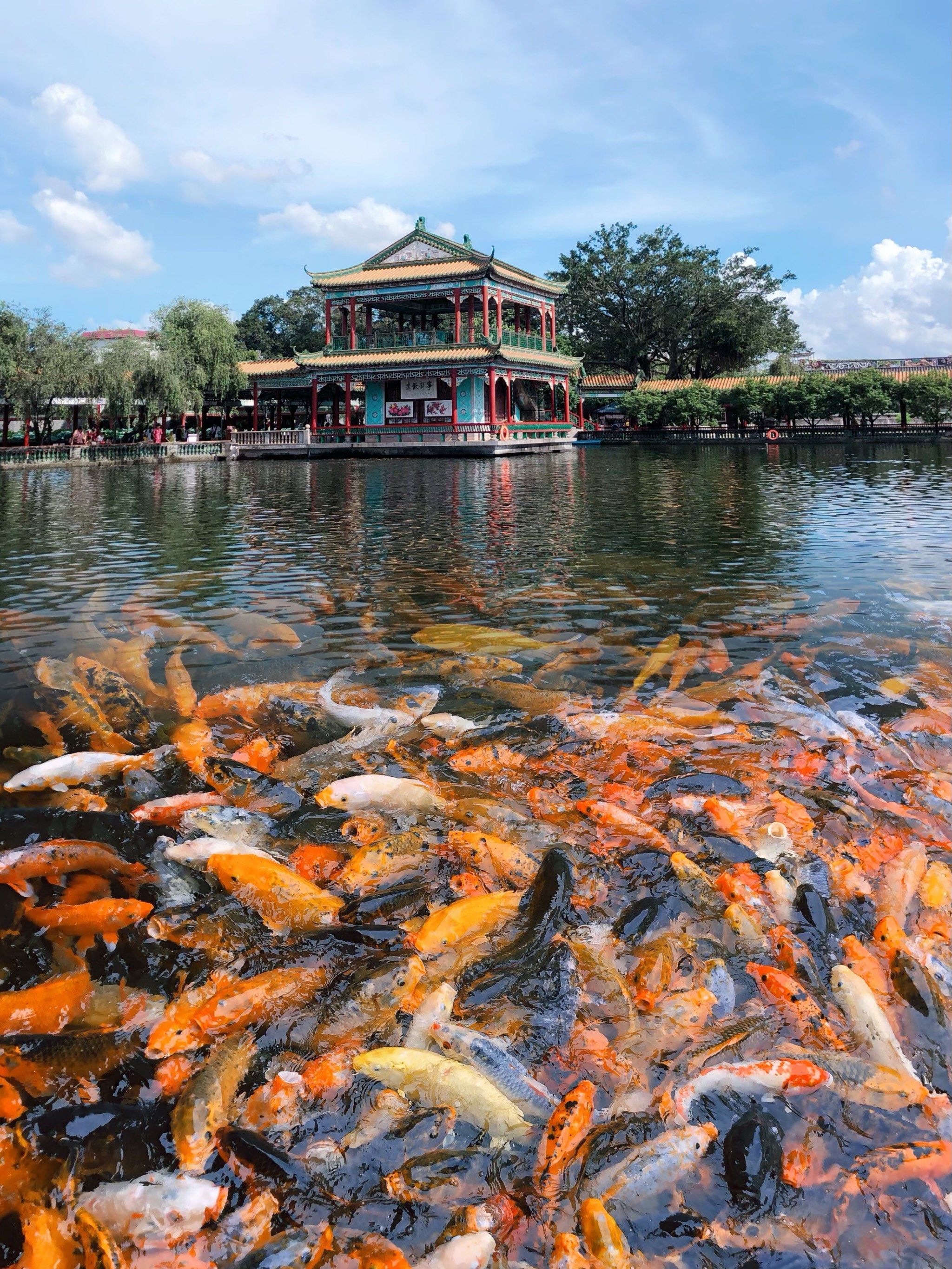 导航宝墨园,门口有停车位(10元)

2:必游打卡景点

聚宝桥一