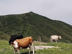 -灵山
