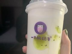 -一只酸奶牛(摩根吾悦广场店)