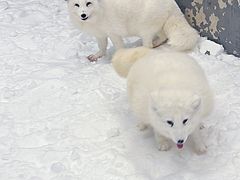 -湘江欢乐城欢乐雪域