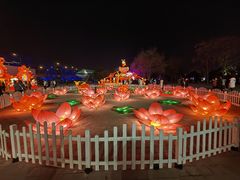 -北京石景山游乐园