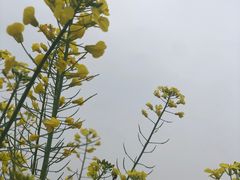 -铜锣山矿山公园