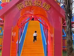 -合肥滨湖国家森林公园