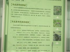 -北京中医药大学-中医药博物馆