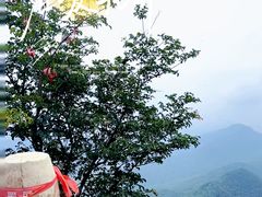 -帽儿山风景区