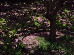 -丰台花园