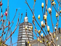 -舍利塔滩地公园-无垢净光舍利塔