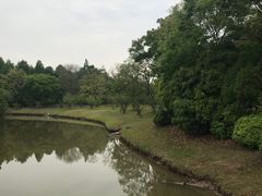 -上海海湾国家森林公园