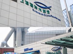 -上海海洋水族馆