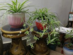 -美味之家·湖景农家乐(太湖东山店)
