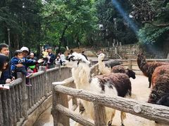-昆明动物园