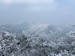 -湖州龙王山景区