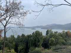-天目湖涵田半山温泉