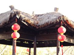 -上海醉白池公园
