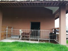 -祥源·阜阳生态乐园