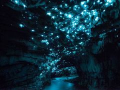 -怀托摩萤火虫洞