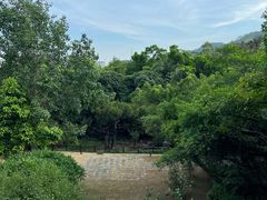 -草庵摩尼教遗址公园