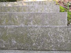 -中山市树木园