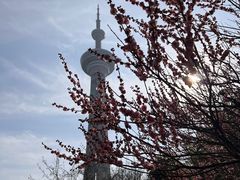 -南京古林公园