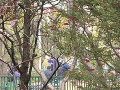 -双榆树公园