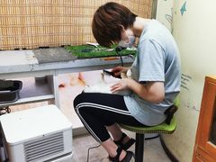 -宠物兔专门店(天丰利市场店)