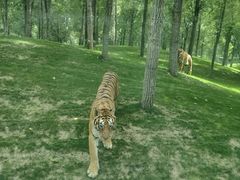 -北京野生动物园