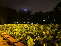 -四川大学(望江校区)